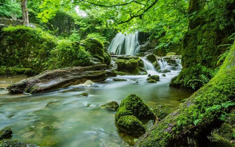 高端先进高标准